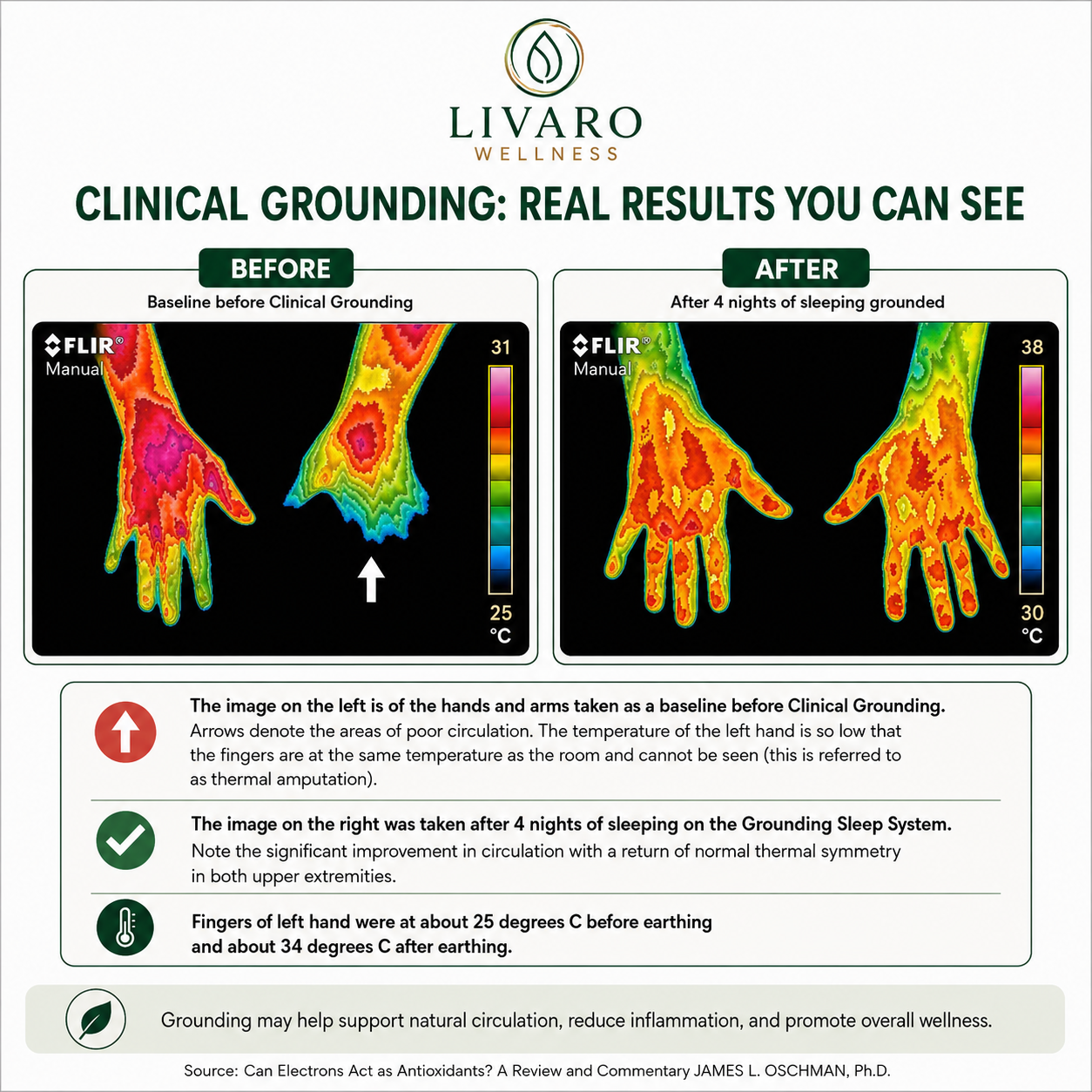 Grounding Mat for Desk & Home | Livaro Wellness
